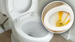 Gul beläggning i toaletten försvinner spårlöst: släng i en tablett som finns i varje hem