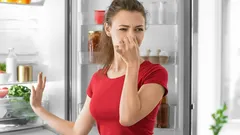 Kylskåp utan lukt: Var du ska lägga skeden med det 'räddande' medlet som finns i varje hem